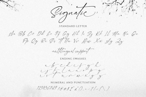 Signatie Signature Font 13
