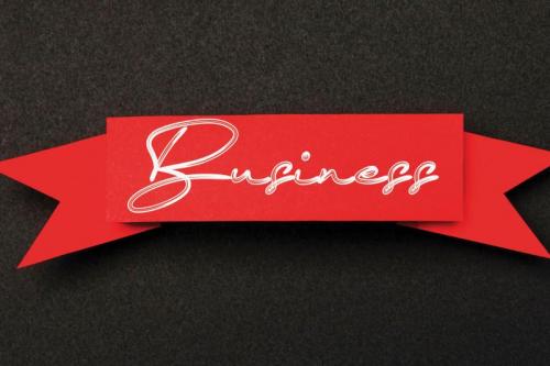 Signature December Script Font 3