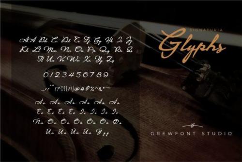 Signaturia Signatur Script Font  2