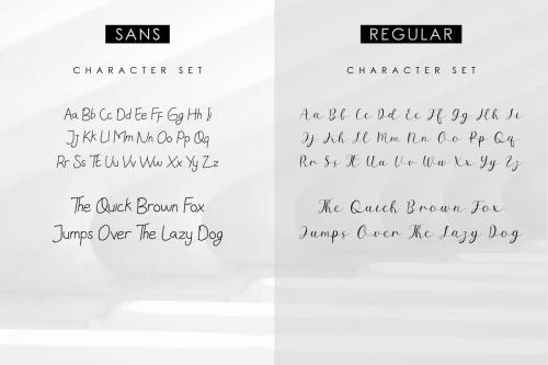 Sillmy Script Font Duo 3