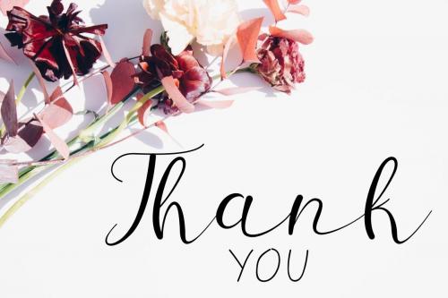 Sillmy Script Font Duo 4