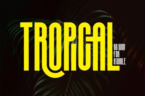 Silver Crown Display Font 11