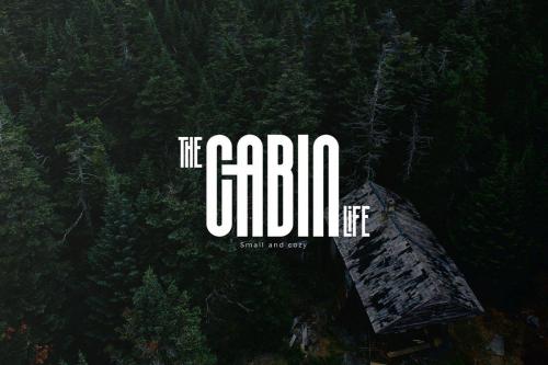 Silver Crown Display Font 12