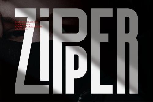 Silver Crown Display Font 6