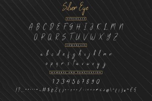 Silver Eye Grunge Handwritten Font  2