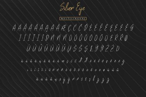 Silver Eye Grunge Handwritten Font  6