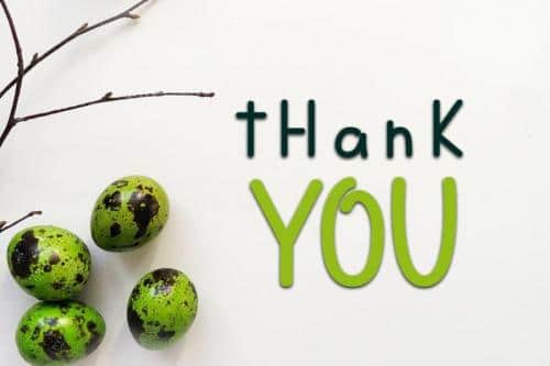 Smart School Display Font 4