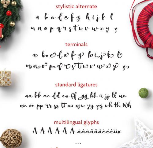 Sofie Script Font 10