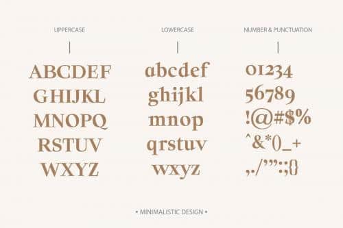 Solomon Serif Font Family 1