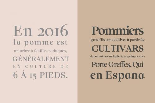 Solomon Serif Font Family 2