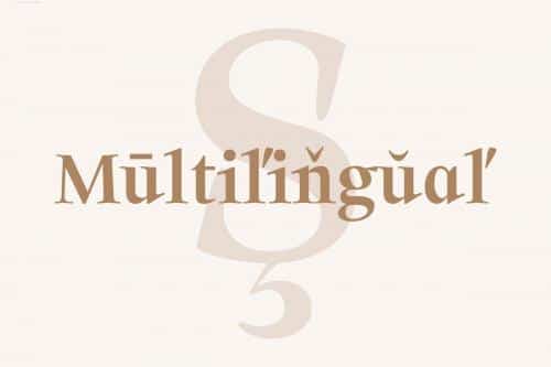 Solomon Serif Font Family 6