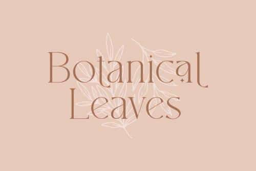 South Amsterdam Font 13