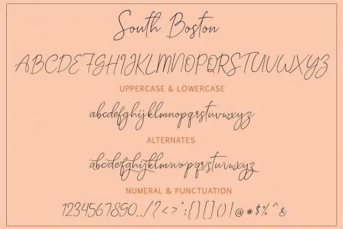 South Boston Script Font 8