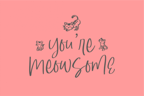 South Dreamers Script Font 11
