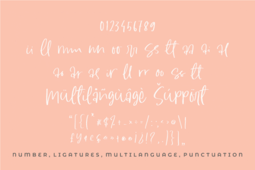 South Dreamers Script Font 14