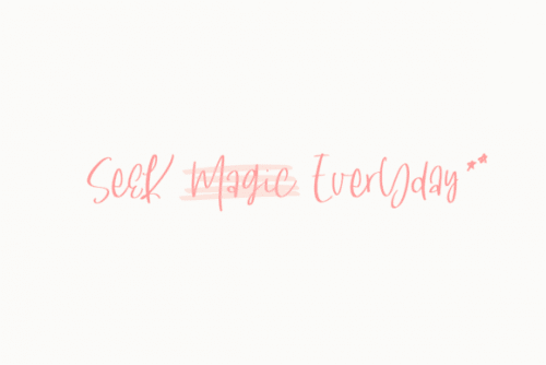 South Dreamers Script Font 5