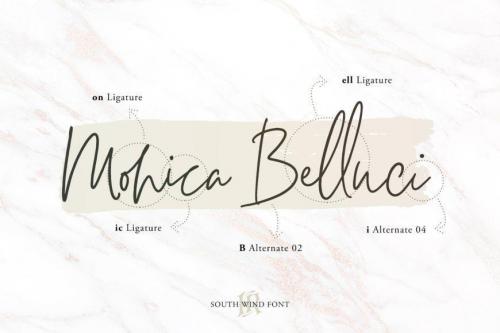 South Wind Font  1