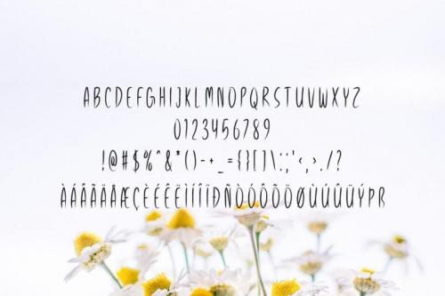 Spring Season Font  2