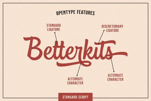 Stangard Handbrush Font 3