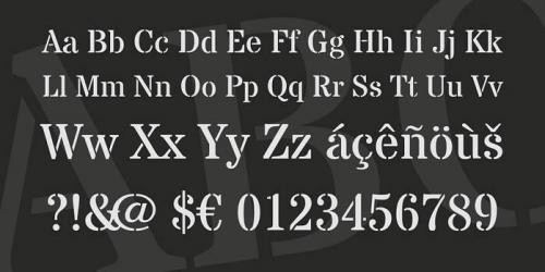 Stardos Stencil Font Family  1