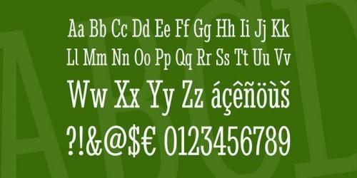 Stint Ultra Condensed Font 1