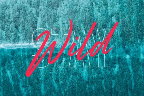Strude Script Font 11