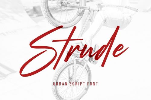 Strude Script Font 9