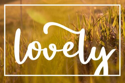 Sunshine Bold Handwritten Script Font  3