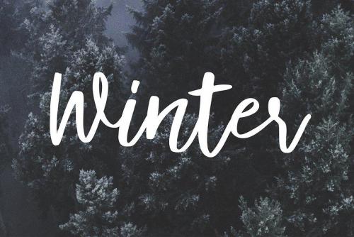 Syberic Script Font 4