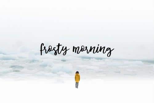 Syberic Script Font 6