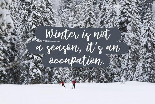 Syberic Script Font 7