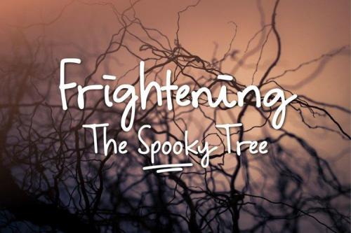 Sydney Tears Script Font 1