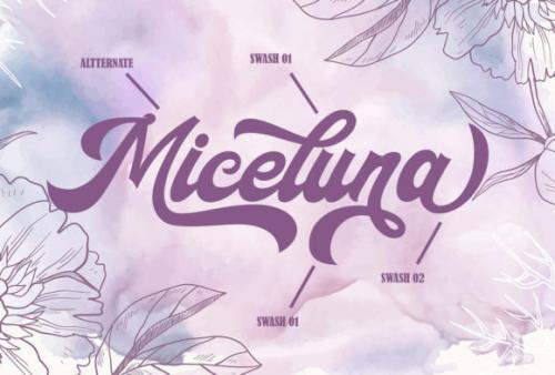 The Backro Calligraphy Script Font 9