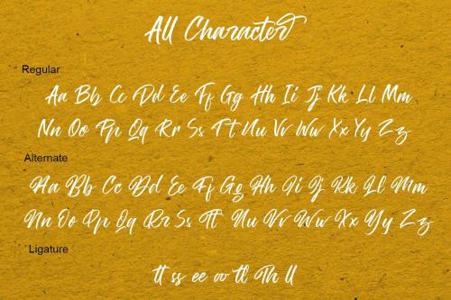 The Hamburg Script Font 10