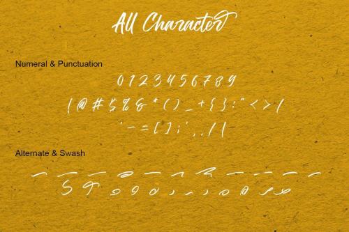 The Hamburg Script Font 11