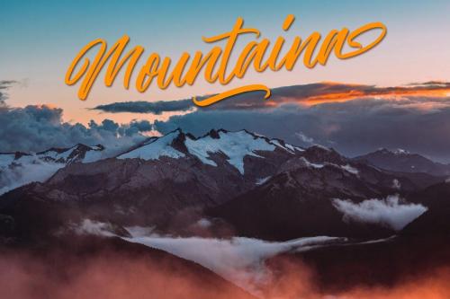 The Hamburg Script Font 7