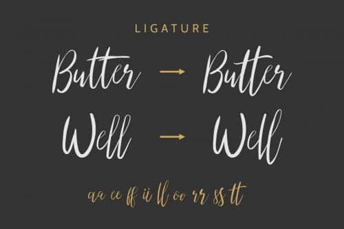 The Right Attitude Script Font Duo 10