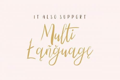 The Right Attitude Script Font Duo 11