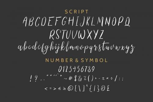 The Right Attitude Script Font Duo 2