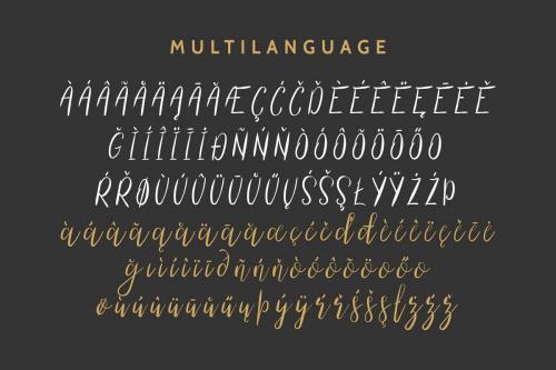 The Right Attitude Script Font Duo 3