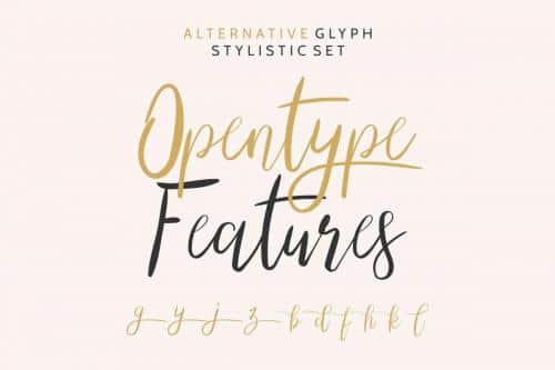 The Right Attitude Script Font Duo 9