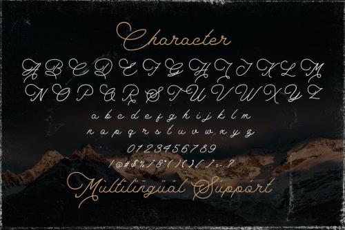 The Saily Monoline Script Font 13