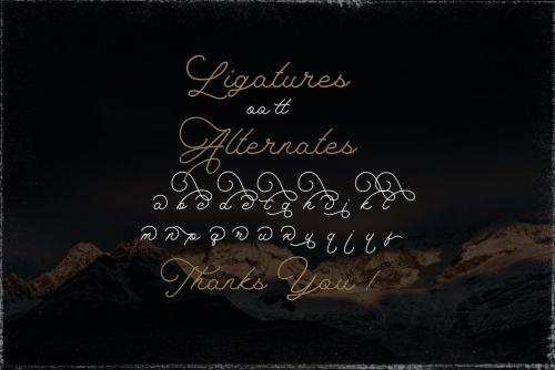 The Saily Monoline Script Font 14