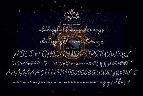 The Signate Font 12