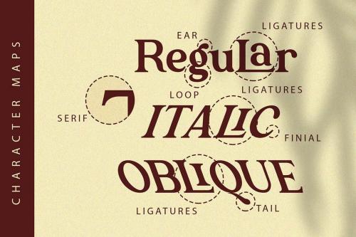 The Texterius Serif Font 4
