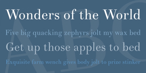 Theano Didot Font  1