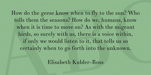 Theano Didot Font  2