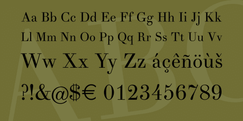 Theano Didot Font  3