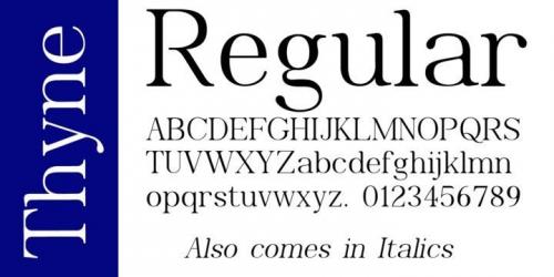 Thyne Serif Font