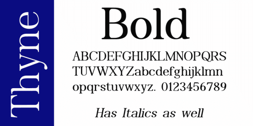 Thyne Serif Font  2